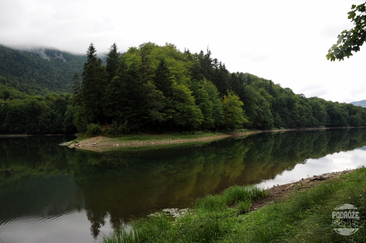 Park Narodowy Biogradska Gora Czarnogóra
