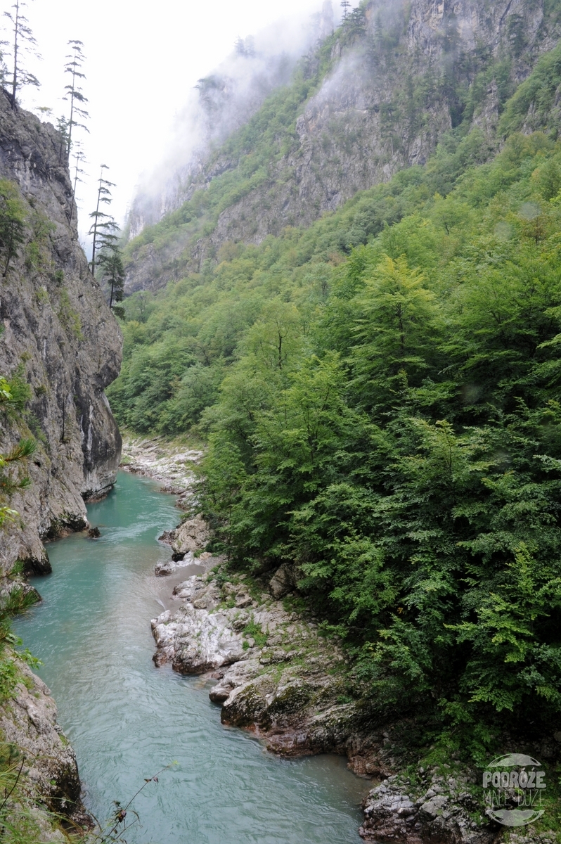 Czarnogóra rzeka Tara