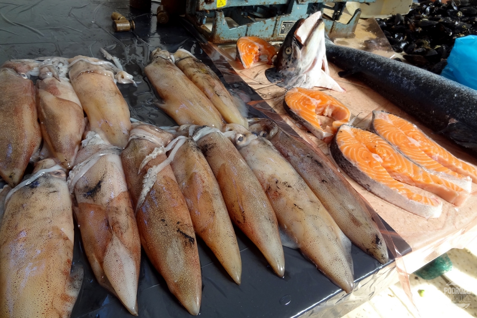 Chorwacja Split targ rybny