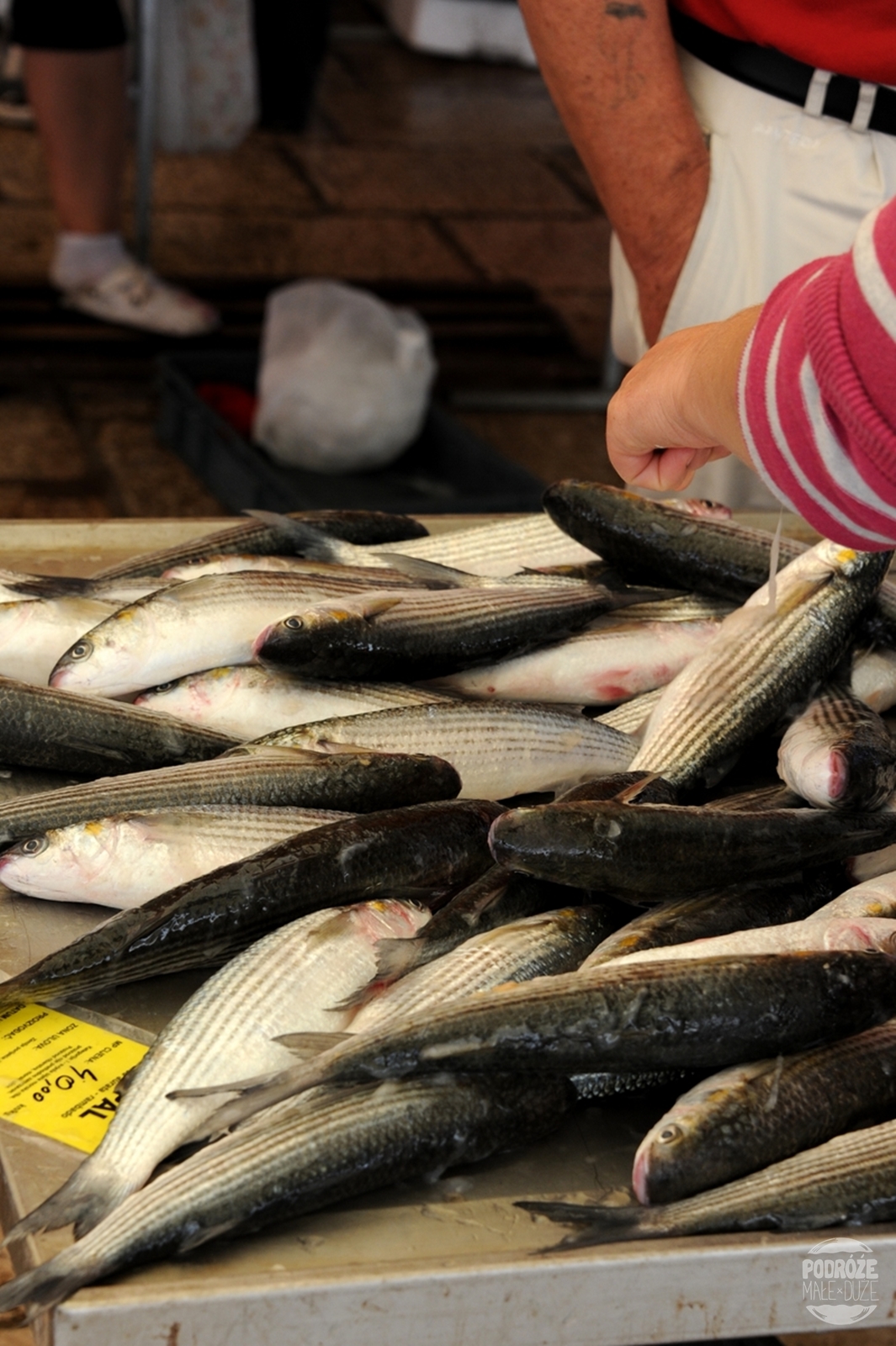 Chorwacja Split targ rybny