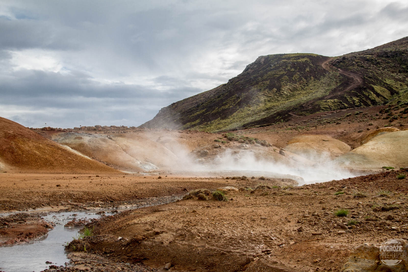 Pola geotermalne na Islandii Seltun & Krysuvik
